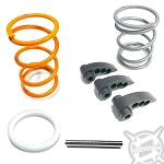 Aftermarket Assassins RZR Pro R 4 Cylinder S2 Clutch Kit